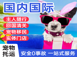 临汾航空快递国际宠物托运 【国